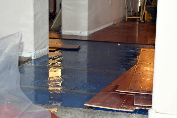 Professional Basement Water Removal technician working in Hankamer, TX